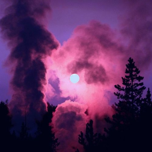 AFlyKing - Stay Floating And Vibing (prod. @beatsbygnd x @zacsax)