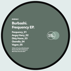 Burbashi - Angry Hary (Original Mix)