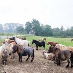 REALLY CHILL, REALLY HAPPY