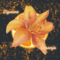 laranja - Ziguane