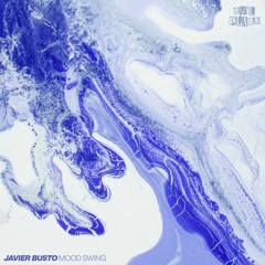 PREMIERE : Javier Busto - Mood Swing (Rude Audio Remix)