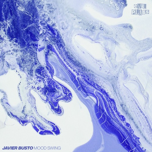 PREMIERE : Javier Busto - Mood Swing (Rude Audio Remix)