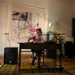 Live @ Paleis305 (excerpt)