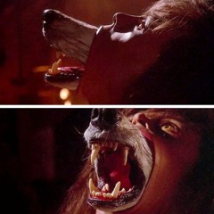 the company of wolves (prod. vautarkis) #666houltr4p