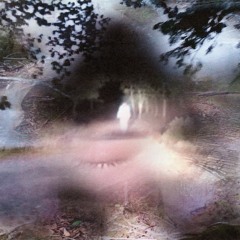 Adios Adios - Milagro I (Construcción)