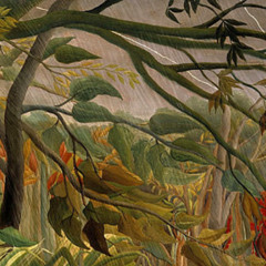 The Tropicans