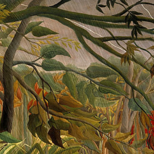 The Tropicans