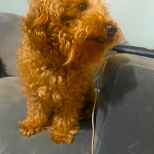 Shoot my opps for fun(unprivated)