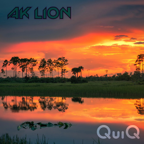 QuiQMix 306 - AK Lion