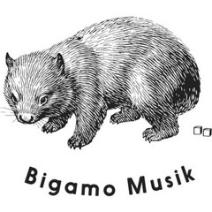 Bigamo Musik