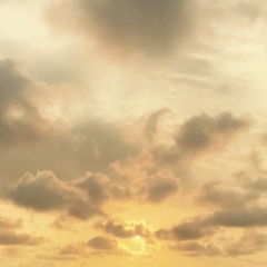 ALEM & JEREMY NATTAGH