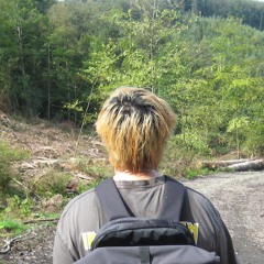 beach music (instrumental)