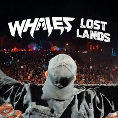WHALES LOST LANDS 2025 MIX