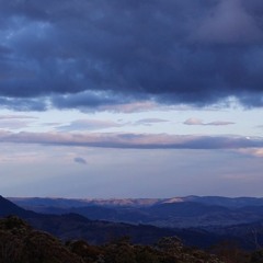 Sunset Birdcalls Callicoma Hill - Jan Fallding