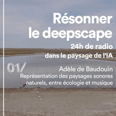 Adèle de Baudouin - Représentation des paysages sonores naturels, entre écologie et musique