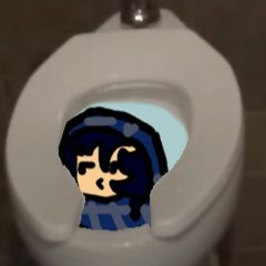 The Toilet Theme