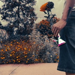 BudBallad prod*20prettyhusky