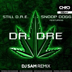 Dr. Dre feat. Snoop Dogg - Still D.R.E. (DJ SAM Remix) Radio Edit