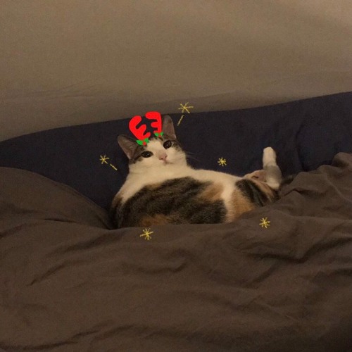 Rest (cover) with 김라프