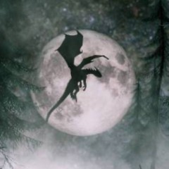 La nuit du dragon