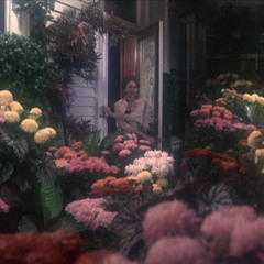 The Windmills of Your Mind w/ Taylor Rowley 301024