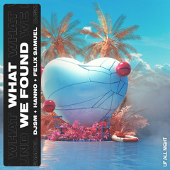 DJSM, Hanno, Felix Samuel - What We Found