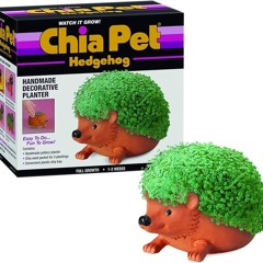 chia