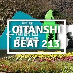 Beat #213