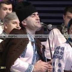 Nicolae Gribincea Şi Plăieşii - La Omul Care Mi - I Drag (DJ AMF extended rmx) 2025