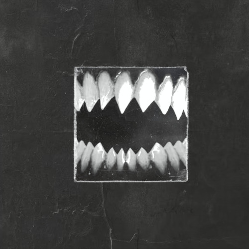 BLACK_MOTH