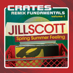 Spring Summer Feeling (The Ron Trent Mix)