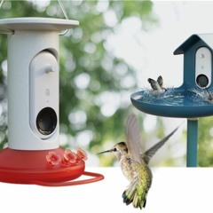 Techstination Interview: Bird Buddy flies on Kickstarter for Smart Hummingbird Feeder & Bird Bath