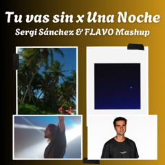TU VAS SIN x UNA NOCHE / SERGI SÁNCHEZ & FLAVO FREE MASHUP