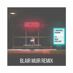 Is she the one? 2 (Blair Muir Remix)