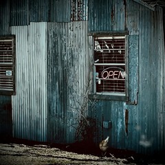 :Zoviet*France: HiddenbythewallRemix Wire_Rabbit_Harp