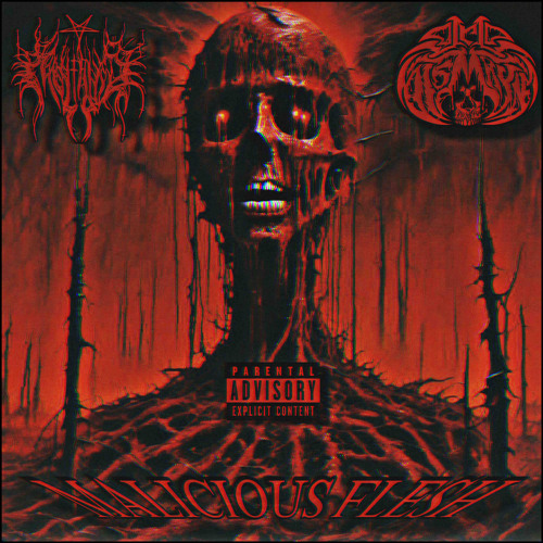 MALICIOUS FLESH (FEAT. LORD DISMAYNE) PROD. MOYTANIC