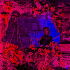 ᛃ MTMF ᛃ » Blossom Festival 2023 ⵐ Celebrating 5 Years