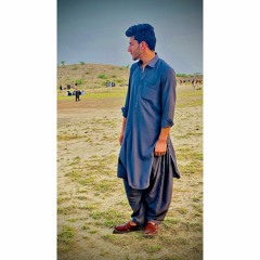 Maine Roya Best ever.35