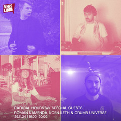 Vers Libre - [radical hours] Crumb Universe mix
