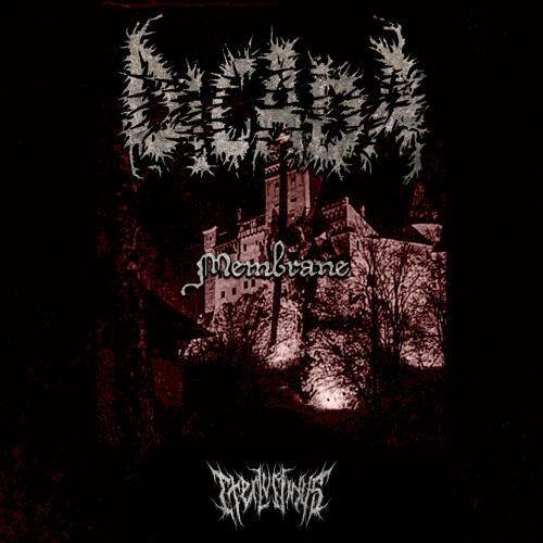 Dicada - Membrane [IL033]