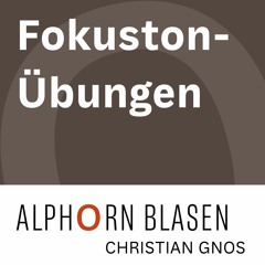 Fokuston E – Nr. 1