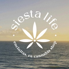 Bertin @ Sequence X Siesta Life Party 04-20-2024