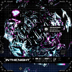 In the Night (Feat. Big Melancholy)