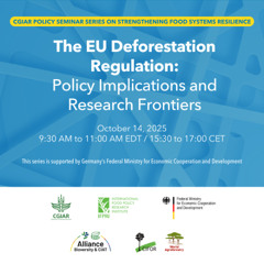 The EU Deforestation Regulation: Policy Implications and Research Frontiers