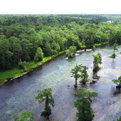 Wakulla Springs State Park