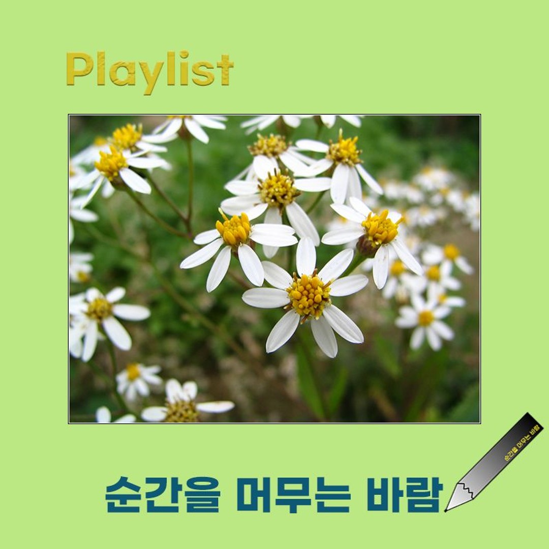 순간을 머무는 바람
