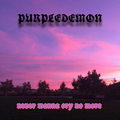 never wanna cry no more - purpledemon (prod. by puhf)