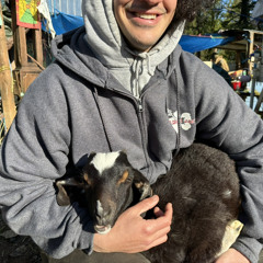 Slow Down (Produced by Phil)