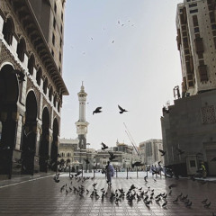 يا نساء النبي لستن كأحد من النساء إن اتقيتن - الشيخ محمد رفعت