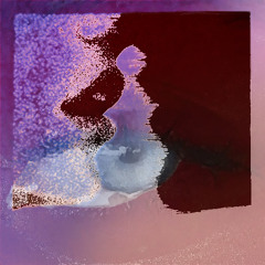A𝐦o𝐫_𝐓o𝐱i𝐜o_